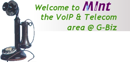 Welcome to MInt - The VoIP & Telecom area @ G-Biz
