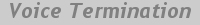 Wholesale Voice Termination